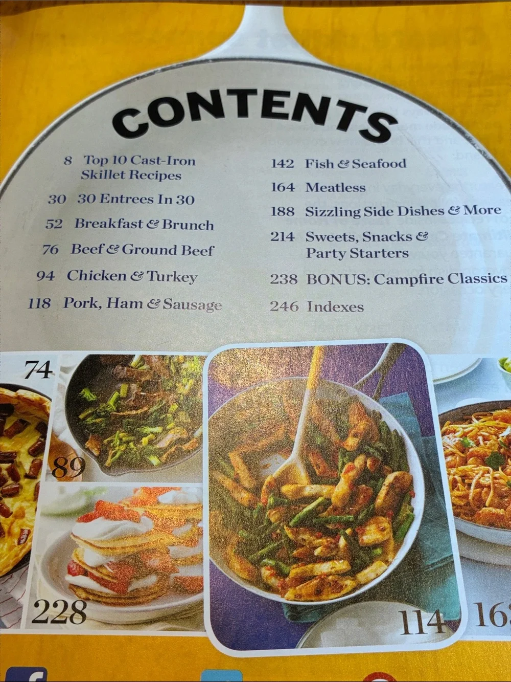 Taste of Home Ultimate Cast Iron Skillets & More Cookbook
